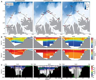 Mesopelagic Sound Scattering Layers of the High Arctic: Seasonal Variations in Biomass, Species Assemblage, and Trophic Relationships